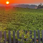 Tanja Steiermark Weinstrasse Wonderful Moments Apartment Lebring