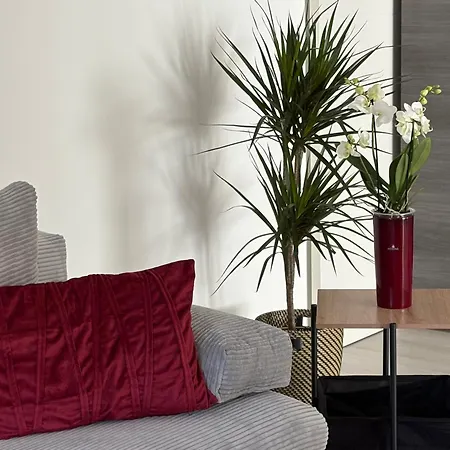 Wonderful Moments Naehe Weinstrasse *