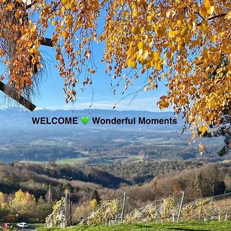 Wonderful Moments Apartmenthaus Naehe Weinstrasse Apartament *