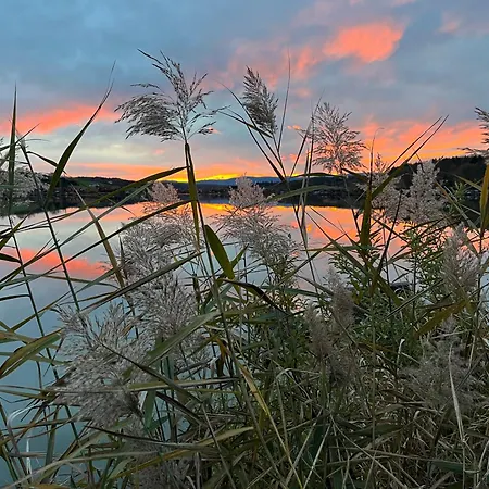 Wonderful Moments Naehe Weinstrasse