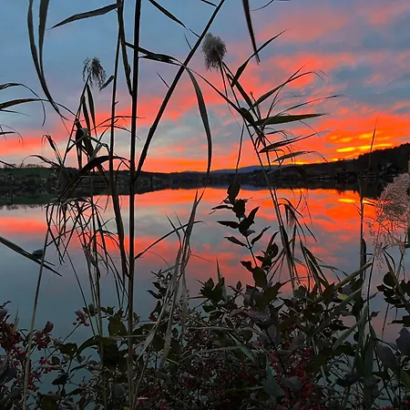 Apartment Wonderful Moments Naehe Weinstrasse