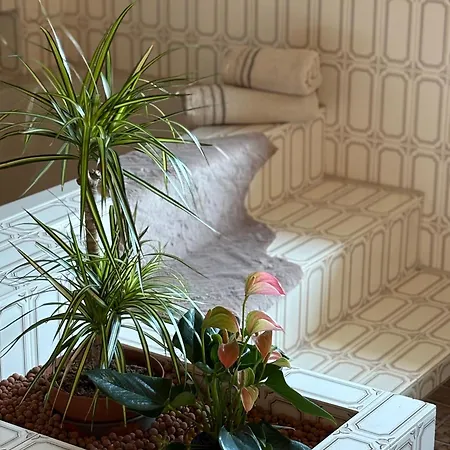 Wonderful Moments Naehe Weinstrasse Apartment