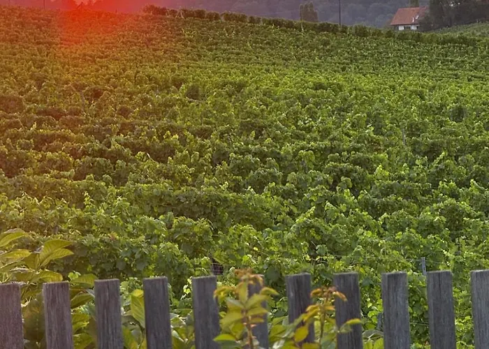 Wonderful Moments Naehe Weinstrasse 公寓 Lebring