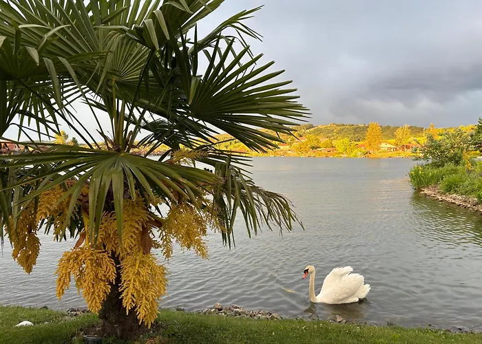 Wonderful Moments Naehe Weinstrasse 公寓 Lebring